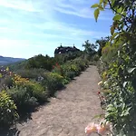 Saaletalblick * Jena