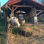 Saaletalblick Apartamento Jena