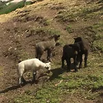 Saaletalblick * Jena