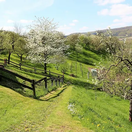 Apartment Saaletalblick