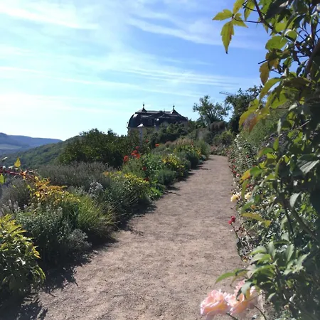 Saaletalblick * Jena