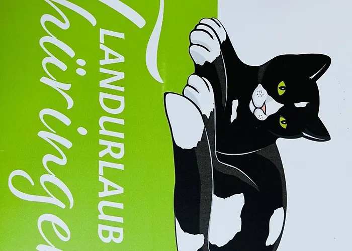 Saaletalblick Apartment