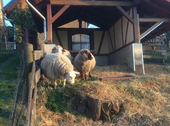 Saaletalblick Appartement Jena