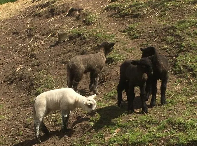 Saaletalblick * Jena